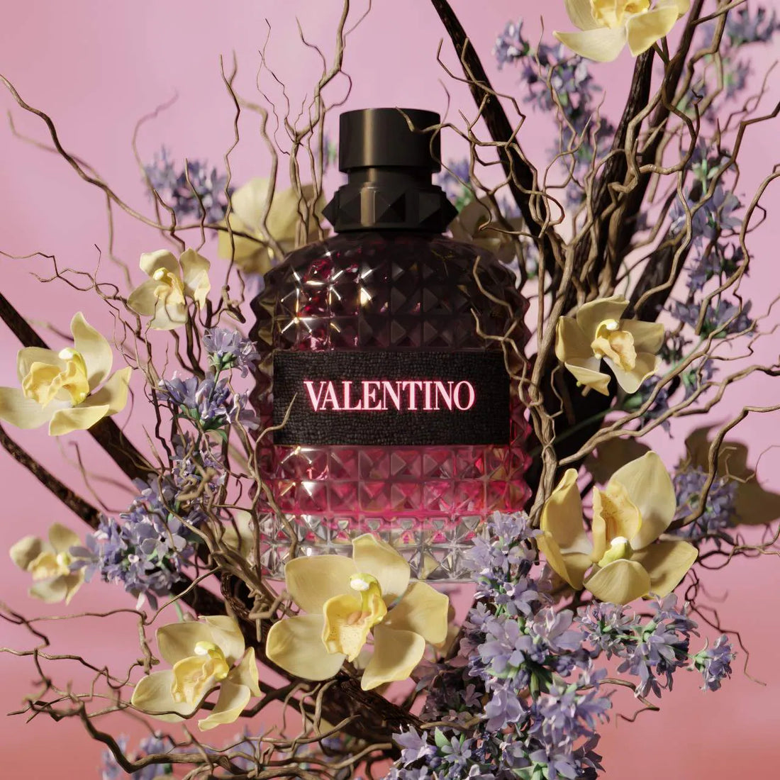 Valentino Uomo Born in Roma